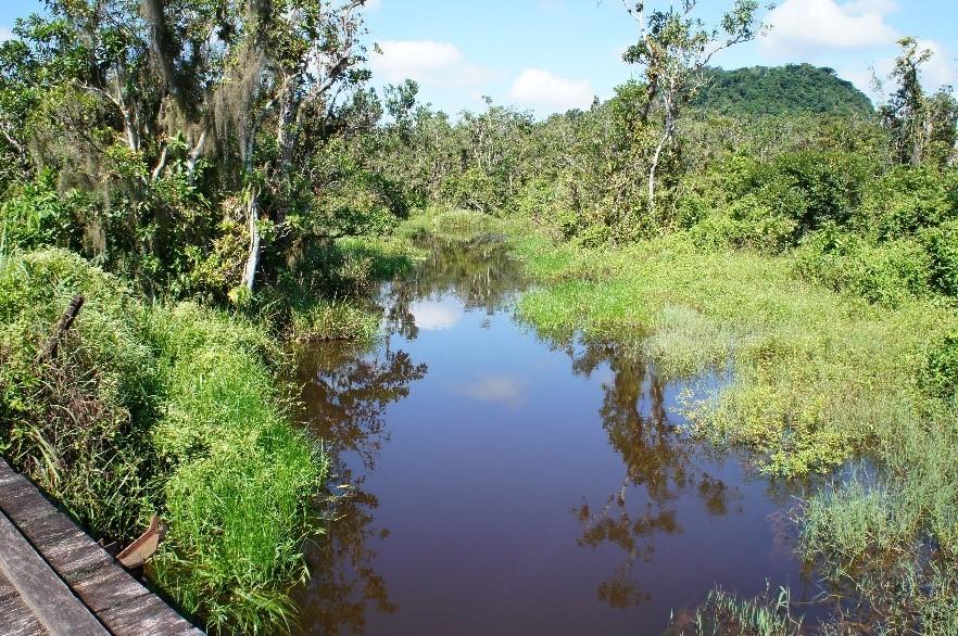 Instituto de Pesca publica estudos sobre a conservação dos ecossistemas aquáticos