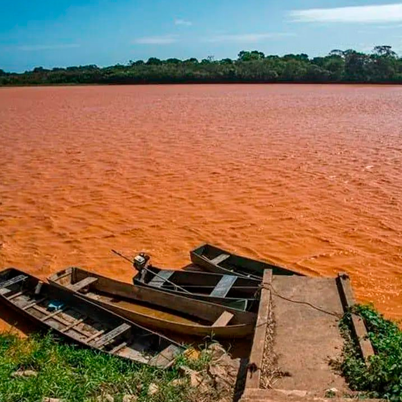 Instituto de Pesca atua na reparação de danos causados pelo desastre em Mariana/MG