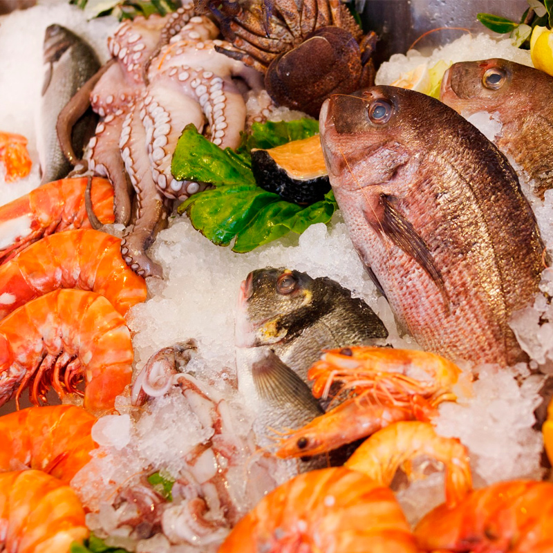 Instituto de Pesca explica como escolher e armazenar pescado no verão